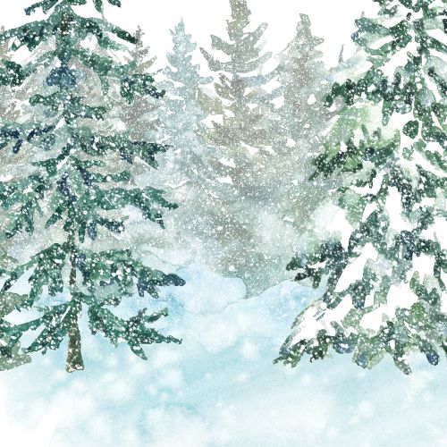 winter trees