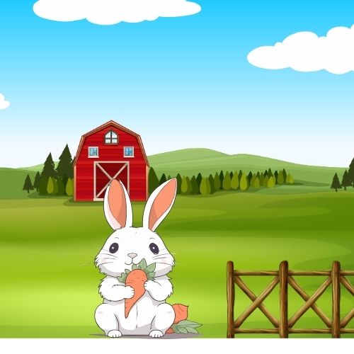 Clever Rabbit