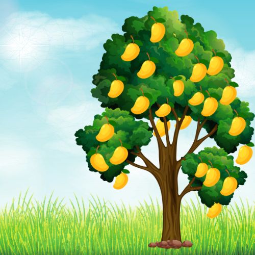 Mangoes And Mischief