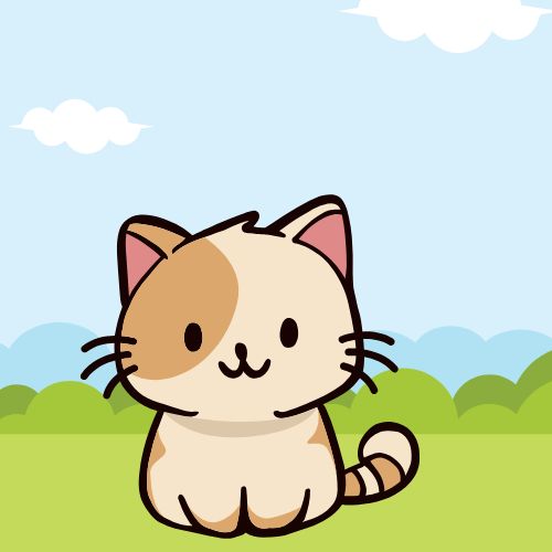 My cat tom