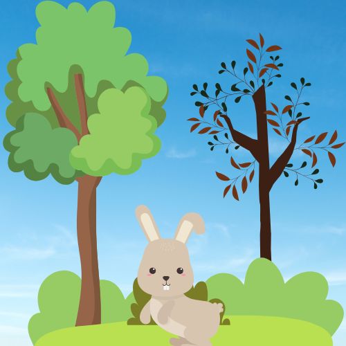 Rabbit goes on a quest