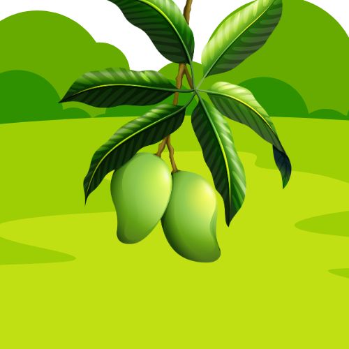 The Fruit of Joy
